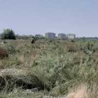 کارگر مزرعه از شهرستان نیازمندیم