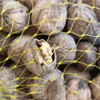 گردو درجه یک کوهستان رابر|خوردنی و آشامیدنی|رابر, |دیوار