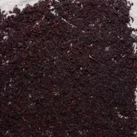 زرشک کوهی|خوردنی و آشامیدنی|شیروان (خراسان), |دیوار