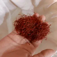 زعفران برداشت امسال اول فصلی|خوردنی و آشامیدنی|اصفهان, جلفا|دیوار