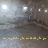 اجاره خونه روستایی|اجارهٔ خانه و ویلا|دهدشت, |دیوار