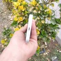 در حد نو|موبایل|یزد, |دیوار