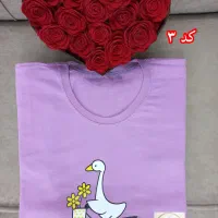 تیشرت زنانه نخ پنبه