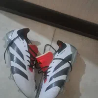 کفش فوتبال adidas predator|کیف، کفش، کمربند|شیراز, شهرک سراج‎|دیوار