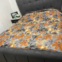 تخت دونفره همراه با تشک|تشک تختخواب|خوی, |دیوار