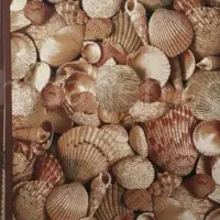 فروش گلیم فرش