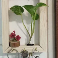 جاکلیدی|کتابخانه، شلف، قفسه‌های دیواری|قم, ولیعصر|دیوار