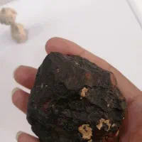 سنگ سیاه خاص