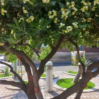 خانه‌ ویلایی ۱۰۸ متری شهرک امام خمینی سندتکبرگ