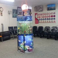 ثبت نام گواهینامه رانندگی