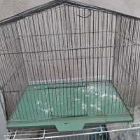 سلام فروش قفس دو عدد