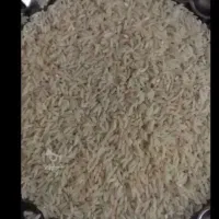 ۵۰۰ ک برنج کشت دوم اصلی طارم عالی  ارسال هم میشود