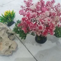 دکور اکواریوم|ماهی|محمدشهر, ولدآباد|دیوار