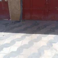 جوجه پلاکی