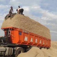 کاه نیشکر (باگاس)