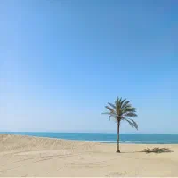 تور بازدید از طبیعت بی‌نظیر چابهار با لیدر حرفه ای|تور و چارتر|چابهار, |دیوار