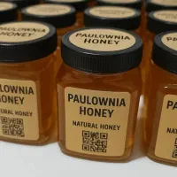 عسل ارگانیک درخت پالونیا|خوردنی و آشامیدنی|تهران, والفجر (افسریه)|دیوار