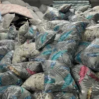 بالش  بالش اقتصادی