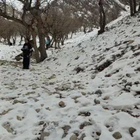 تور حضرت سلیمون