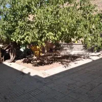 خانه اجاره ای|اجارهٔ خانه و ویلا|فرخ‌شهر, |دیوار