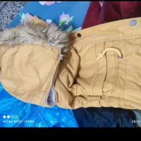 پالتونونونو|لباس|سنندج, |دیوار