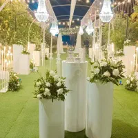 تشریفات مجالس عروسی