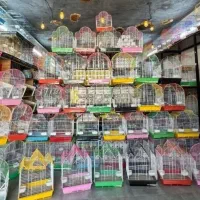 پرندگان زینتی قفسی لانه تاب دانه کف دریاوان ارزن