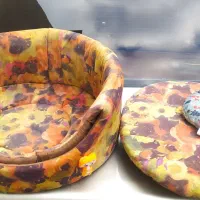 لانه دو حالته ضد حساسیت برای حیوانات|لوازم جانبی حیوانات|رشت, گلباغ نماز|دیوار