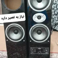 فقط پول بانداش گذاشتم