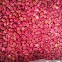 زغال اخته کارتنی