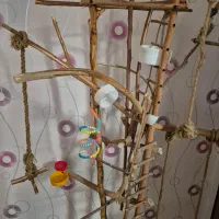 استند پرنده دست ساز نشیمنگاه پرنده