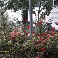 آپارتمان-162متری-اداری-مسکونی-فرشته-سرمایه-گذاری