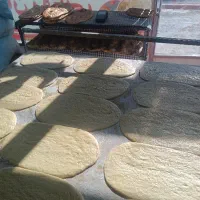نان روغنی شاطر و وردست