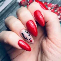 خدمات ناخن طرح یلدا و کریسمس فقط ۳۰۰|خدمات آرایشگری و زیبایی|بندر انزلی, کارآموزی|دیوار