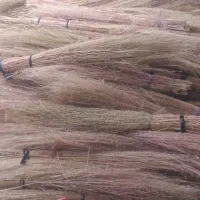 جاروی شهرداری|لوازم نظافت|یاسوج, |دیوار