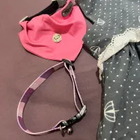 لباس سگ|لوازم جانبی حیوانات|تهران, امام زاده قاسم (نیاوران)|دیوار