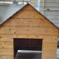 لونه چوبی سگ بزرگ حیوان خانگی|لوازم جانبی حیوانات|جویبار, |دیوار