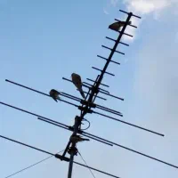 انتن تلوزیون رو میزی و هوایی|صوتی و تصویری|تهران, جنتآباد جنوبی|دیوار