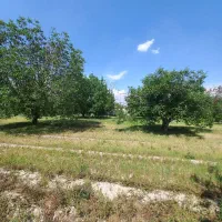 باغچه ۴۶۰ متری آب برق گاز داخل مجموعه دهشاد|فروش زمین و ملک کلنگی|شهریار, اسکمان|دیوار