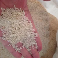 برنج نیمدانه هاشمی عطری خوش پخت 25کیلو 165000تو|خوردنی و آشامیدنی|قزوین, |دیوار