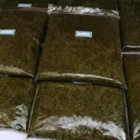 انواع سبزی موجود ۶۰ ارسال رایگان