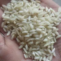 برنج عنبر بو درجه ۱|خوردنی و آشامیدنی|کوهدشت, |دیوار