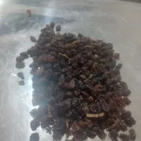 کشمش از ۸۹ تومن داریم تا ۱۵۰ باکیفیت|خوردنی و آشامیدنی|ماهدشت, |دیوار