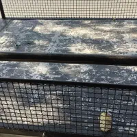 اریسان 1مدل 94|خودرو سواری و وانت|دماوند, دماوند|دیوار