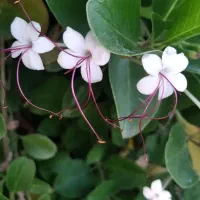 تدریس خصوصی ، معلم خصوصی