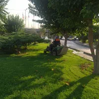 فروش نهال و درخت و خدمات فضای سبز  چمن زنی|خدمات باغبانی و درختکاری|تهران, استخر|دیوار