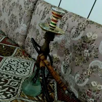 قیلون  نعناع