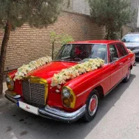 اجاره ماشین عروس،کرایه خودرو با راننده خانم یا آقا|خودرو اجاره‌ای|مشهد, کلاهدوز|دیوار