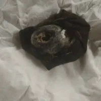 به شرط اصل اصل