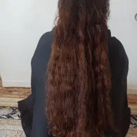 مو طبیعی|آرایشی، بهداشتی، درمانی|اهواز, مجاهد|دیوار